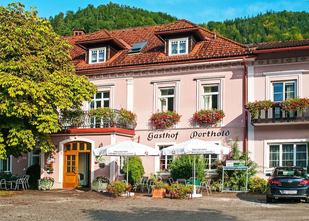 Gasthof Zum Niederhaus - Familie Perthold Sankt Aegyd am Neuwalde Luaran gambar